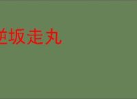 逆坂走丸