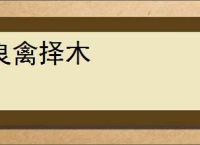 良禽择木