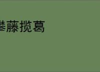 攀藤揽葛