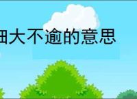 细大不逾的意思
