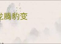 龙腾豹变