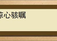 惊心骇瞩