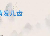 黄发儿齿