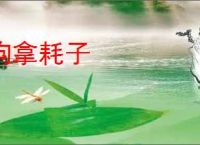 狗拿耗子