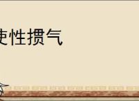 使性掼气