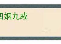 四姻九戚