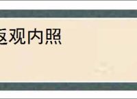 返观内照