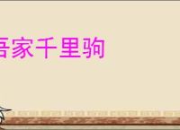 吾家千里驹