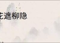 花遮柳隐