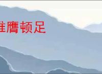 椎膺顿足