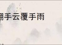 翻手云覆手雨
