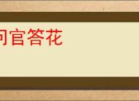 问官答花