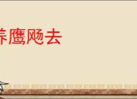 养鹰飏去