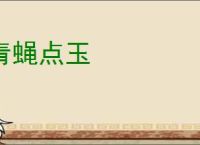 青蝇点玉