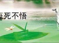 至死不悟