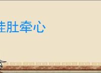 挂肚牵心