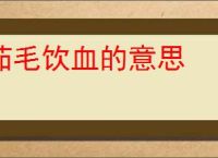 茹毛饮血的意思