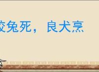 狡兔死，良犬烹