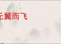 无翼而飞