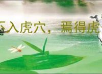 不入虎穴，焉得虎子