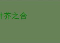 针芥之合
