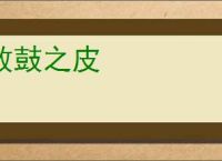 败鼓之皮