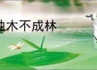 独木不成林