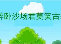 醉卧沙场君莫笑古来征战几人回的意思