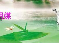 阴媒