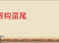 银钩虿尾