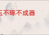 玉不琢不成器