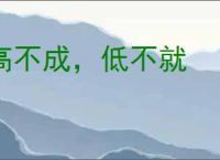 高不成，低不就