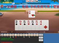 红十记牌器 - 电脑/<strong>手机</strong>双端可用丨智能算牌 炸弹提醒丨东北红十专用辅助工具