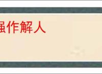 强作解人
