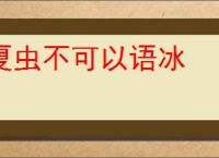 夏虫不可以语冰