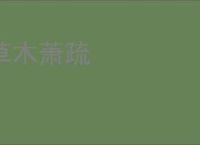 草木萧疏