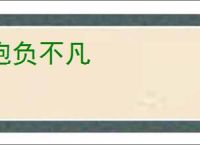 抱负不凡