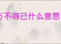 万不得已什么意思