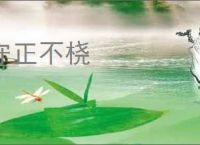 守正不桡