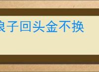 浪子回头金不换