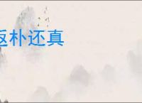 返朴还真