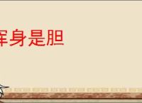 浑身是胆
