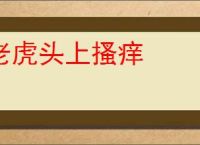 老虎头上搔痒