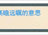 高瞻远瞩的意思