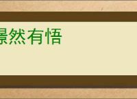 憬然有悟