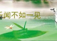 千闻不如一见