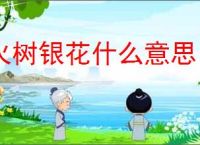 火树银花什么意思