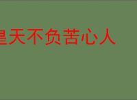 皇天不负苦心人