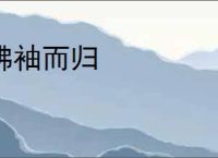 拂袖而归