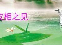 皮相之见